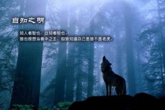 йδ淨ٲͳˣ