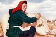 ÿһŵĸ